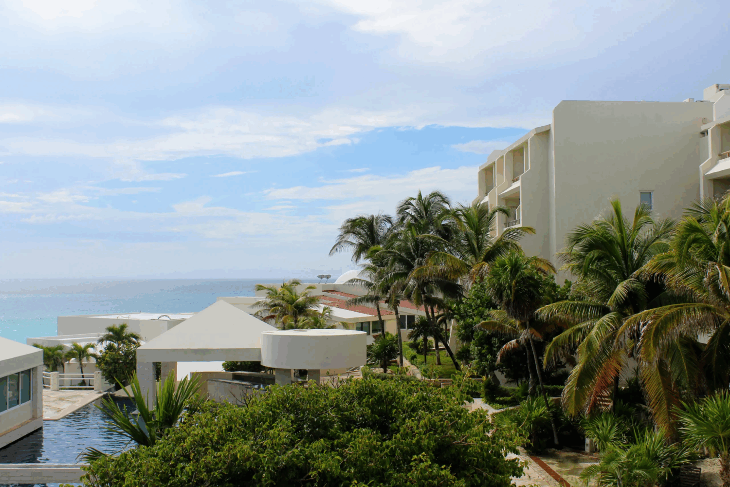 Plantas tropicales con playa de fondo
