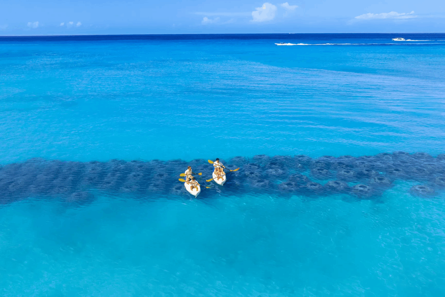 Dos kayaks en el mar caribe